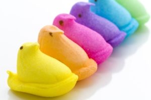 Peeps marshmallow chicks