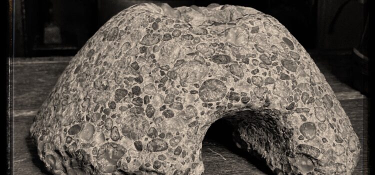 The Museum of Cambridge’s Rotary Quern