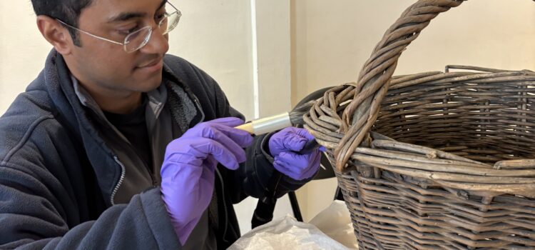 Collections Volunteering at the Museum of Cambridge: Sully’s Story