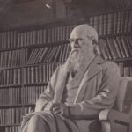 Black and White photograpg of a statue of Carles Darwin. Figure is seated in an armchair with his legs crossed.