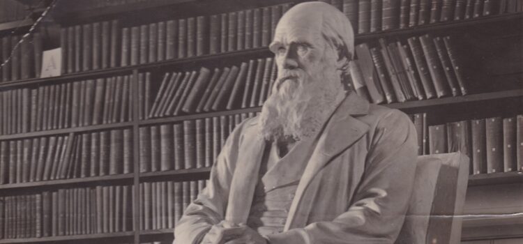 Cambridge Disability Heritage: Charles Darwin Statue Photograph Cambridge Disability Heritage: Charles Darwin Statue Photograph