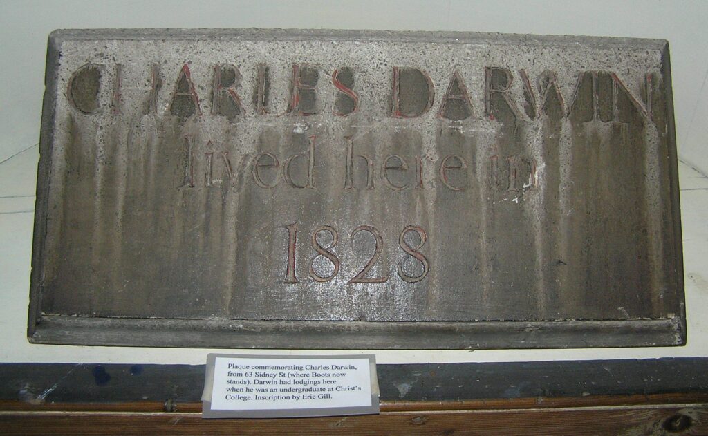 Weather worn rectangular plaque with the inscription 'Charles Darwin lived here 1828' Plaque is streaked with a bronze patina.