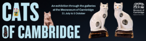 Banner advertising 'CATS OF CAMBRIDGE A display through the galleries at the Meowseum [Museum] of Cambridge 31 July to 5 October'. The light blue text contrasts the black background. There are various cats on and around the lettering: a maneki-neko or beckoning cat figurine, a card shaped like a black cat, a sepia-tone photograph of a cat, and a pair of sitting ceramic cats which are white with dark spots. In the top right corner there is a white Museum of Cambridge logo which includes an illustration of a historical building and the information 'Registered Charity 311309'.
