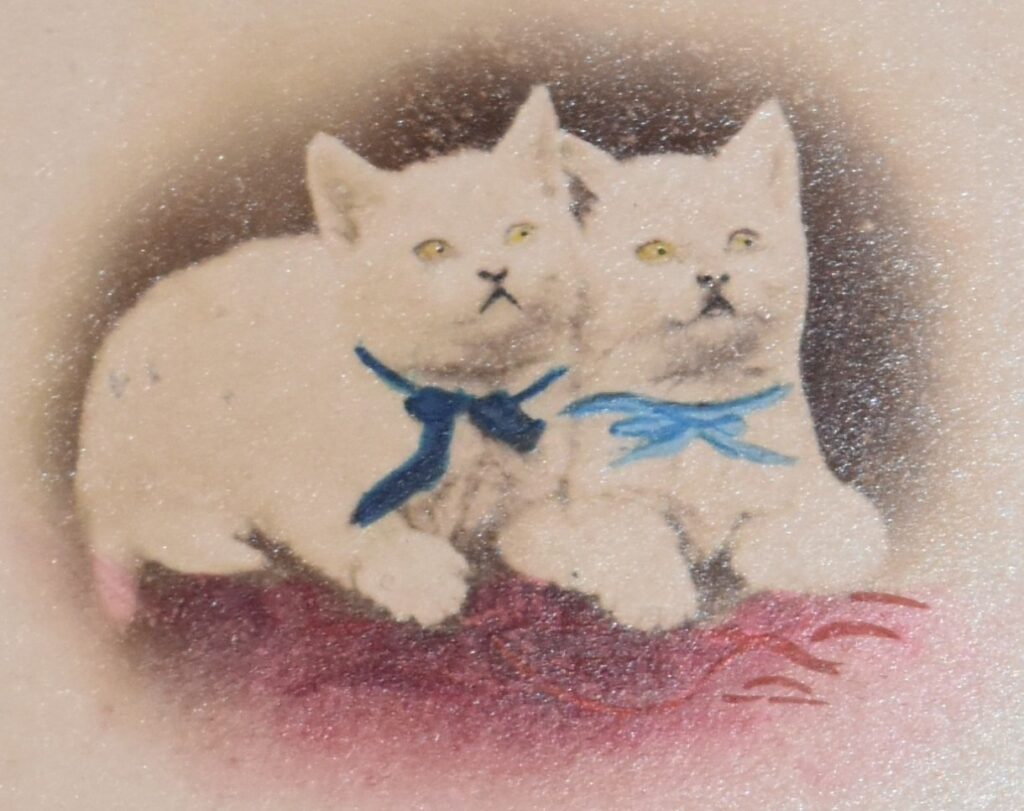 Vintage photograph which has been coloured shows two white kittens side-by-side on a red blanket. They have yellow eyes and one wears a dark 'Oxford blue' necktie and the other wears and light 'Cambridge blue' tie.
