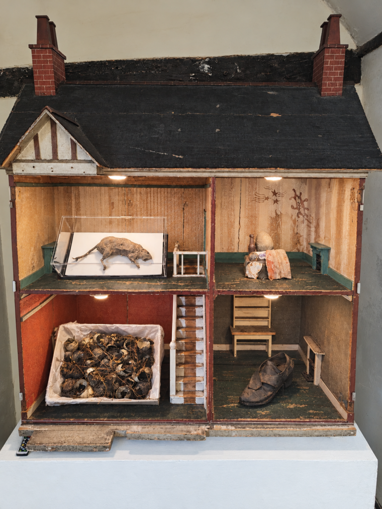 A weathered dolls’ house repurposed as a display case, containing a mummified rat, a collection of pottery, glass, stones and a button, eggshells mixed with dried grass and mulch, and an Elizabethan shoe. The objects are arranged across four compartments, with a central staircase, worn wallpaper and miniature fireplaces.