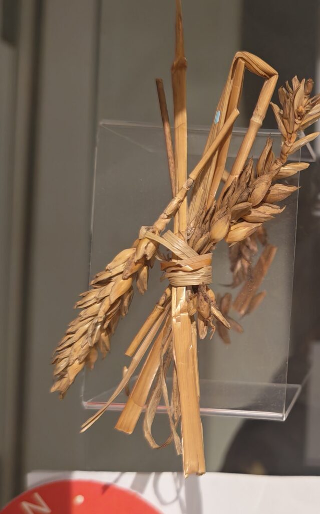 Two ears of corn folded over and tied together with another piece of corn. Each piece of corn's tassel faces in opposite directions.
