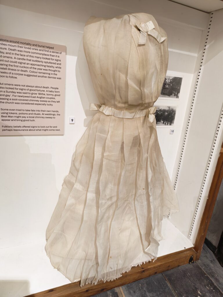 Cream veil shown from the back. Multiple pleats extend from the crown to the base of the cabinet in which it is presented. A silk bow sits at the back and a ribbon ties around the neck with bows at the front and back,